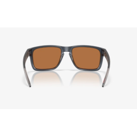 GAFAS DE SOL OAKLEY...