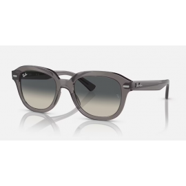 GAFAS RAY BAN ERIK RB4398...